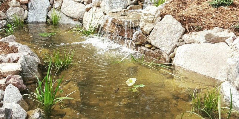 Pond and Water Feature Installation in Raleigh, North Carolina
