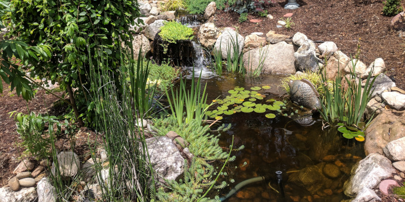 Pond and Water Feature Repair Services in Raleigh, North Carolina