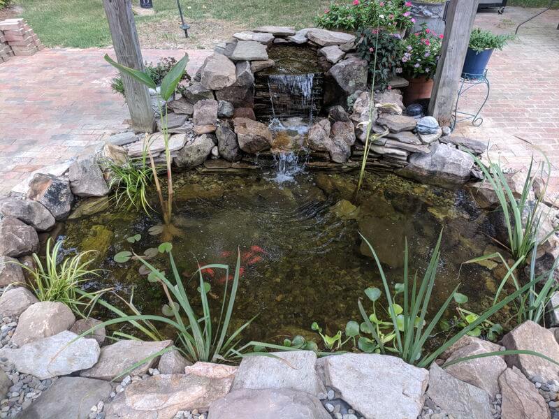 Pond Maintenance Services