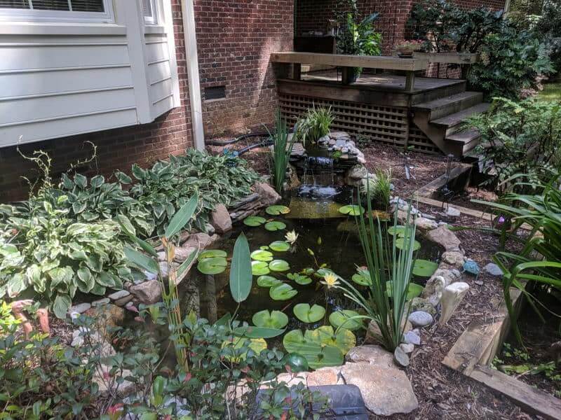 Pond Installation