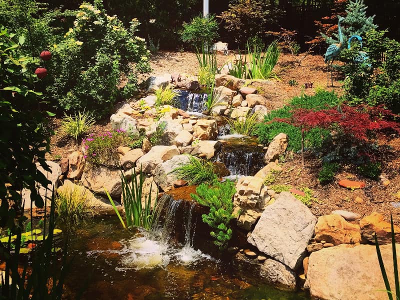 Pond Repair Services