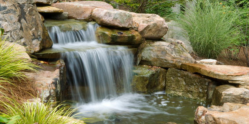 Fall Pond and Water Feature Clean-out in Raleigh, North Carolina