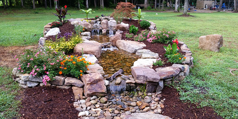 Pond and Water Feature Maintenance Services in Raleigh, North Carolina