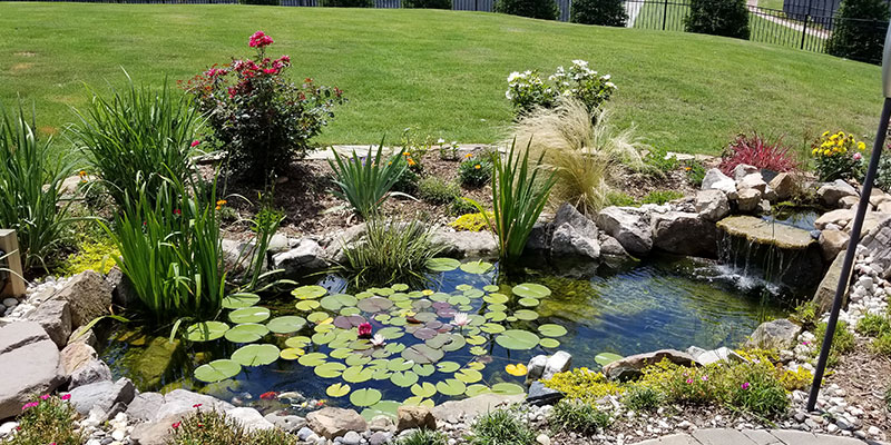 Key Reasons to Utilize Professional Spring Pond Clean-Out Services