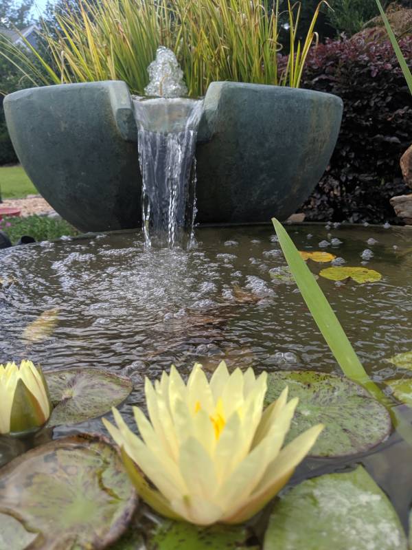 Fountains, Raleigh in North Carolina