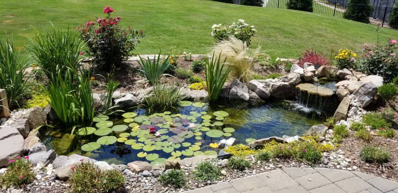 Pond Services in Raleigh, North Carolina