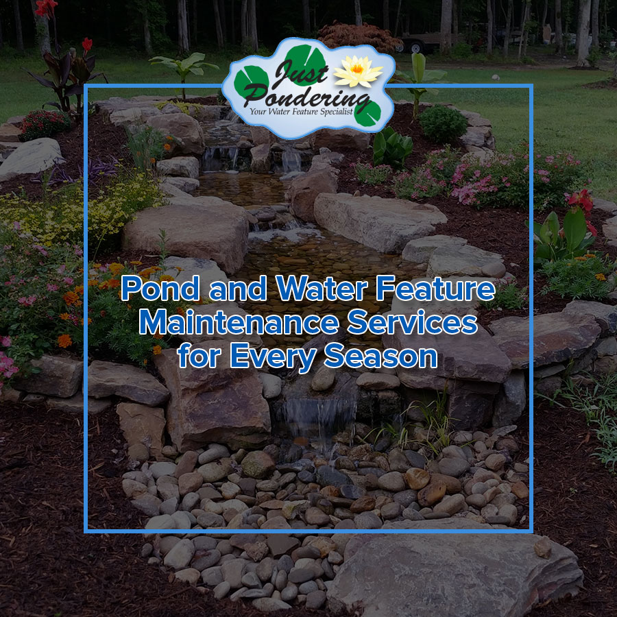 Pond and Water Feature Maintenance Services for Every Season