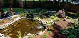 Water Feature Maintenance Services in Raleigh, North Carolina