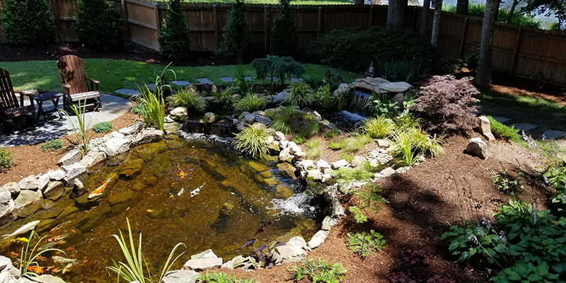 3 Signs You Need a Pond Clean-Out Appointment