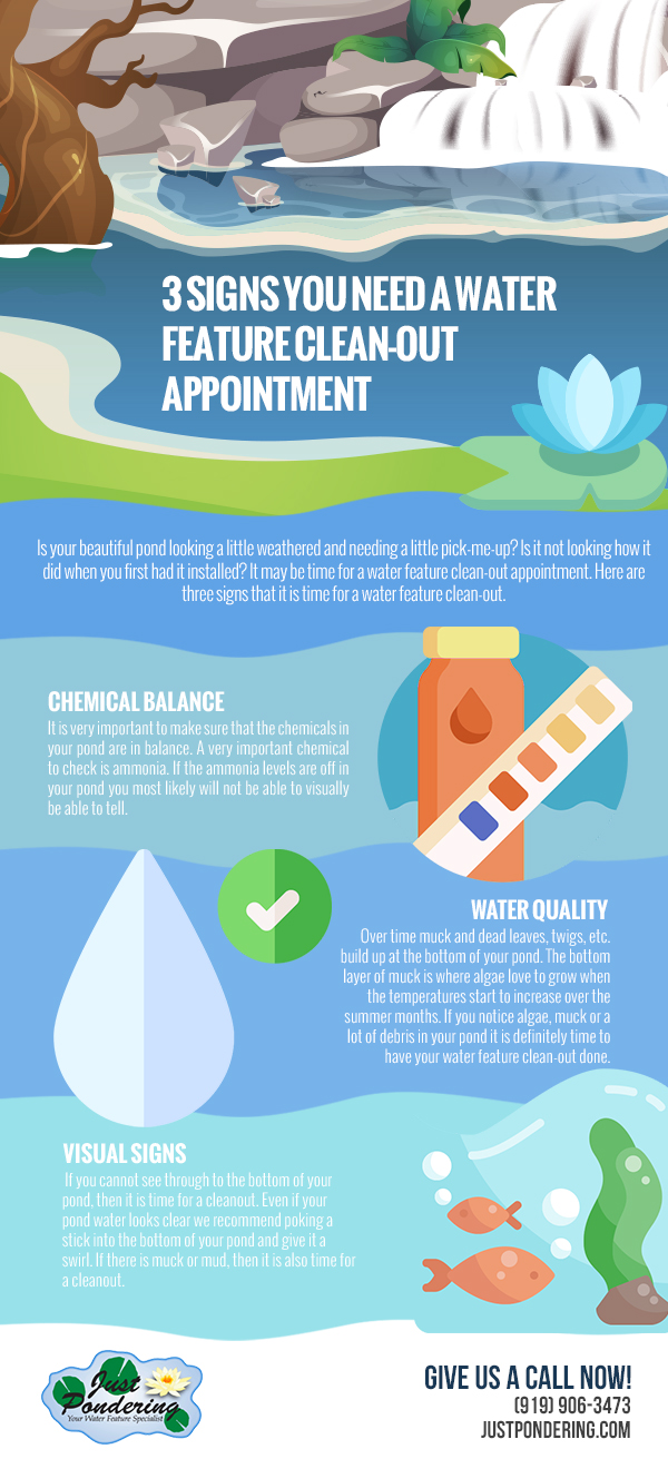3 Signs You Need a Pond Clean-Out Appointment [infographic]