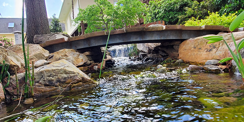4 Important Questions to Ask Your Pond Contractor