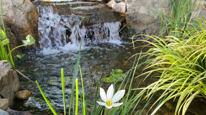 Water Feature Contractor in Chapel Hill, North Carolina