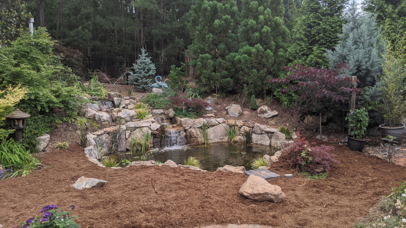Pond Services in Chapel Hill, North Carolina