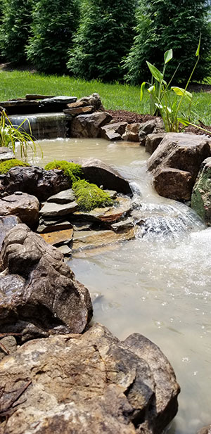 How Often Do You Need Pond Maintenance Services?