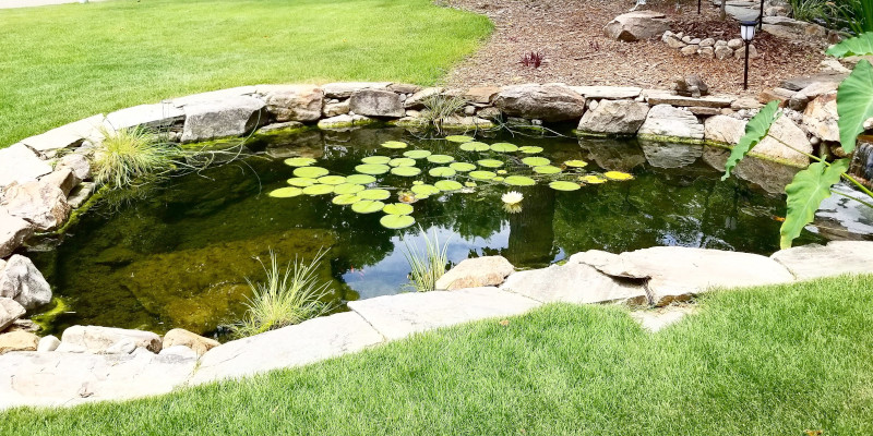 Pond Construction Jobs in Raleigh, North Carolina