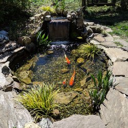 over 18 years of water feature experience